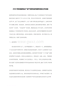 2010年安溪县电冶厂生产支部先进性教育活动工作总结.DOC
