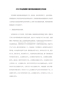 2010年仙凤镇第六届村委会换届选举工作总结.DOC